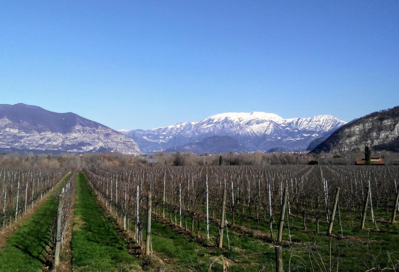 Bed and Breakfast Cascina San Martino Passirano Exteriér fotografie